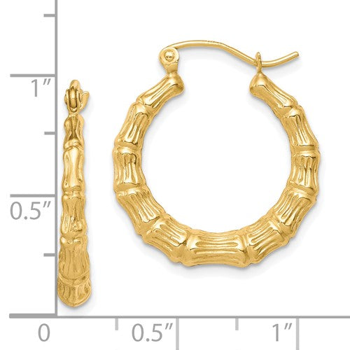 10k yellow gold shrimp bamboo design round hoop earrings 24mm x 22mm