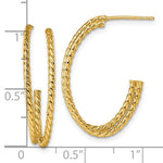 Load image into Gallery viewer, 10k Yellow Gold Twisted Coil C Double Hoop Earrings 27mm x 18mm
