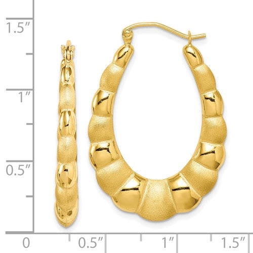 10k yellow gold shrimp hoop earrings click top satin polished 35mm x 24mm