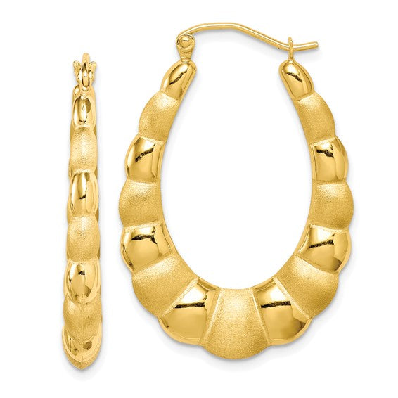 10k yellow gold shrimp hoop earrings click top satin polished 35mm x 24mm