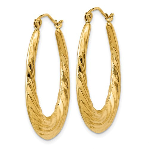 10k yellow gold shrimp oval twisted classic hoop earrings 31mm x 21mm
