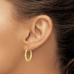Загрузить изображение в средство просмотра галереи, 10K Yellow Gold Shrimp Bamboo Design Round Hoop Earrings 24mm x 22mm
