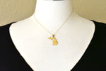 Load image into Gallery viewer, 14K Gold or Sterling Silver Michigan MI State Map Pendant Charm Personalized Monogram
