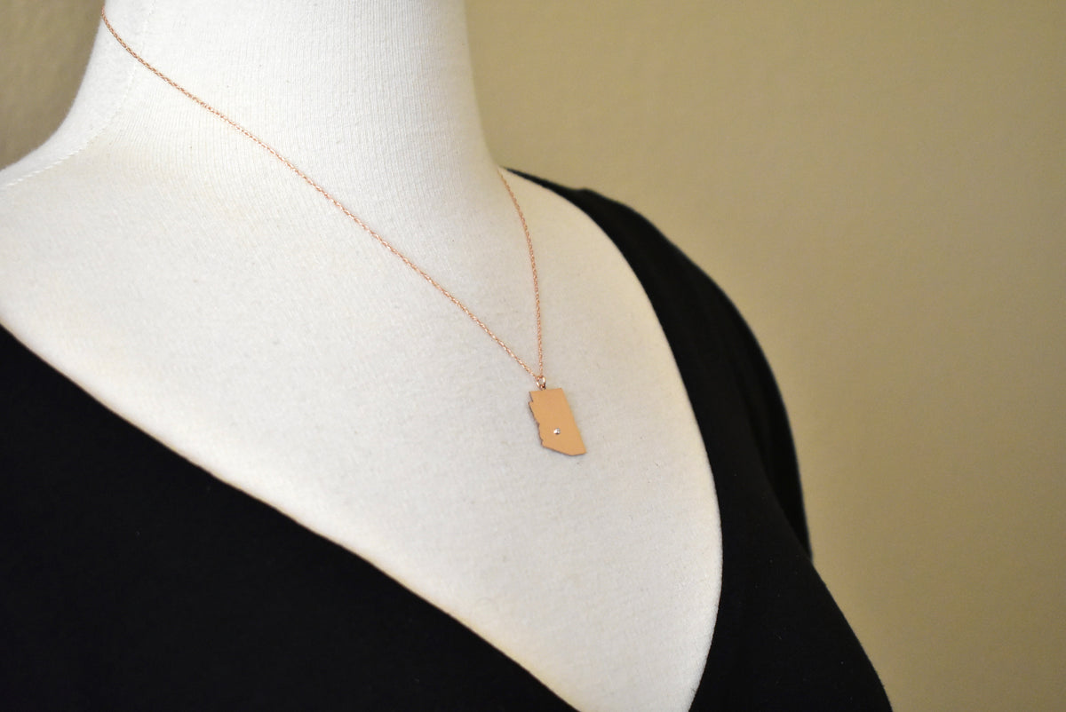 14k 10k yellow rose white gold diamond silver arizona az state map personalized city necklace