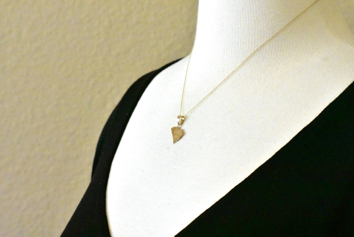 14k gold or sterling silver south carolina sc state map pendant charm personalized monogram