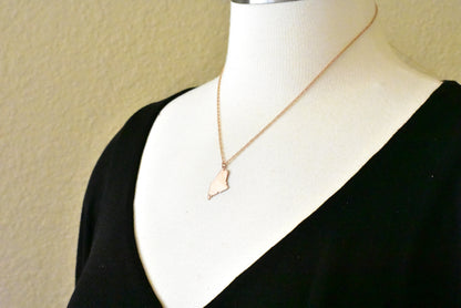 14k 10k yellow rose white gold diamond silver maine me state map personalized city necklace