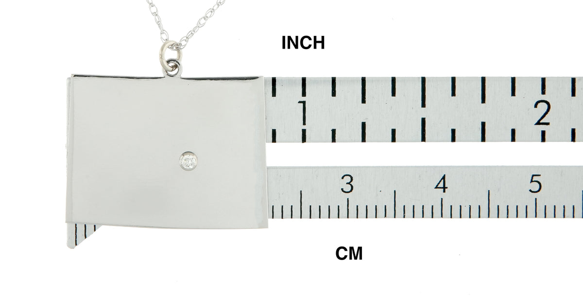 14k 10k yellow rose white gold diamond silver colorado co state map personalized city necklace