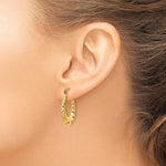 Lade das Bild in den Galerie-Viewer, 14K Yellow Gold Shrimp Scalloped Twisted Hollow Classic Hoop Earrings 17mm
