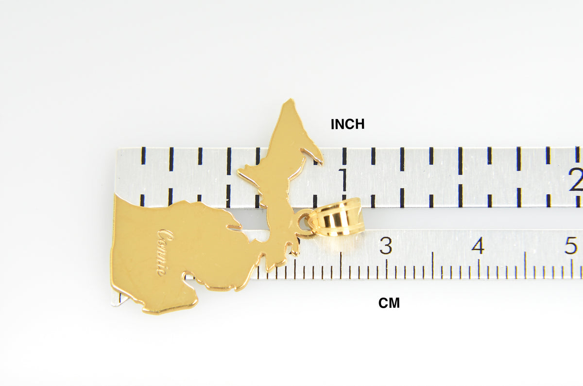 14k gold or sterling silver michigan mi state map pendant charm personalized monogram