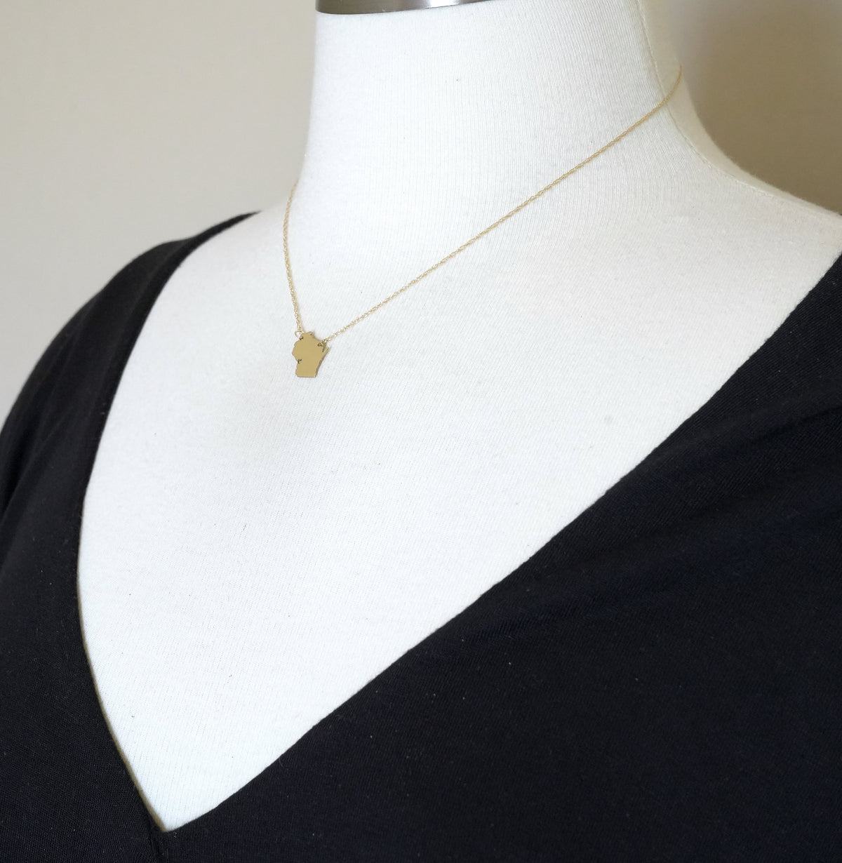 14k gold 10k gold silver wisconsin wi state map necklace heart personalized city